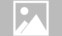 神秘签约爆料最新版