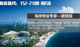 碧桂园爆料最新消息温州,揭秘未来城市生活新篇章