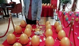 金蛋皮最新爆料,娱乐圈最新爆料大起底！