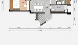 中单打野最新爆料出装,揭秘最新出装策略，助你战场称霸！