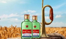 小酒的最新爆料,揭秘娱乐圈最新热点事件内幕