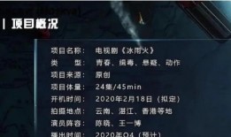 冰雨火最新爆料,揭秘神秘组织与卧底警察的生死较量！