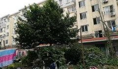 闵行丽园小区爆料事件最新,业主维权事件持续发酵，真相揭开引关注