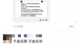 合肥王先生最新爆料,揭秘背后惊人真相！